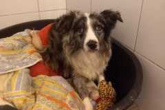 IMG-20250815-WA0052