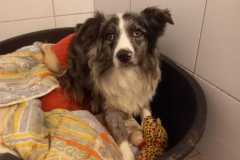 IMG-20250815-WA0053