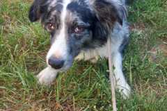 IMG-20250815-WA0054