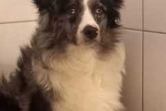 IMG-20250815-WA0055