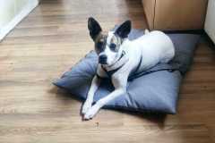 WhatsApp-Bild-2025-08-22-um-08.44.52_7c462f75