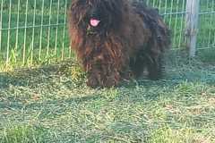 IMG-20250504-WA0040