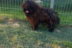 IMG-20250504-WA0041