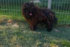 IMG-20250504-WA0042