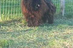 IMG-20250504-WA0043