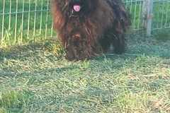 IMG-20250504-WA0044