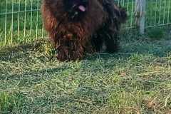 IMG-20250504-WA0047