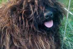 IMG-20250504-WA0048