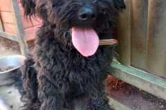 IMG-20250811-WA0023