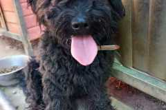 IMG-20250811-WA0025