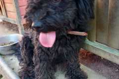 IMG-20250811-WA0026