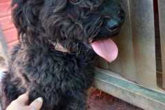 IMG-20250811-WA0031