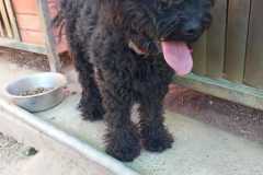 IMG-20250811-WA0034