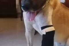 IMG-20250718-WA0012