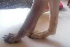 IMG-20250718-WA0013