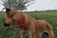IMG-20250718-WA0016