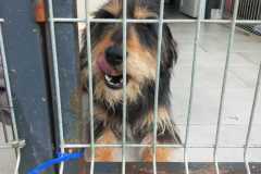 IMG-20250410-WA0005
