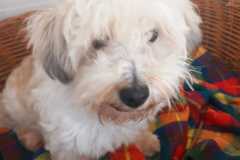 IMG-20250504-WA0007