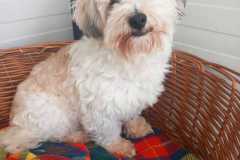 IMG-20250504-WA0009