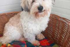 IMG-20250504-WA0012