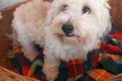 IMG-20250504-WA0013