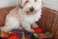 IMG-20250504-WA0014