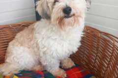 IMG-20250504-WA0015