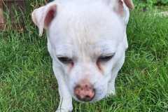 WhatsApp-Bild-2025-05-13-um-14.47.49_b65b7d9d