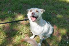 IMG-20250518-WA0015