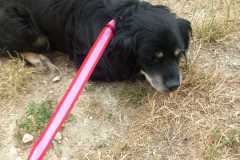 IMG-20250720-WA0025