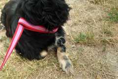 IMG-20250720-WA0026