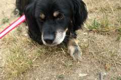 IMG-20250720-WA0027
