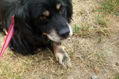 IMG-20250720-WA0028