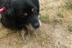 IMG-20250720-WA0033
