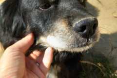 IMG-20250821-WA0024