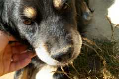 IMG-20250821-WA0025