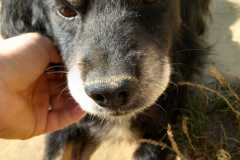 IMG-20250821-WA0026