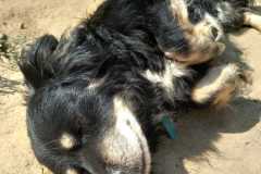 IMG-20250821-WA0027
