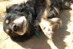 IMG-20250821-WA0028