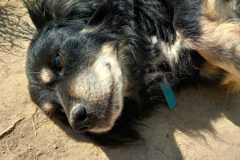 IMG-20250821-WA0029