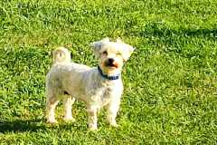 IMG-20250815-WA0060
