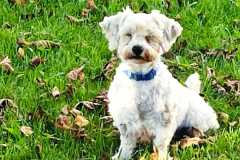 IMG-20250815-WA0064