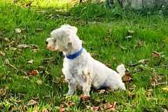 IMG-20250815-WA0065