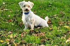 IMG-20250815-WA0066