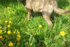 IMG-20250425-WA0007