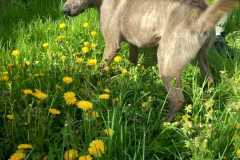 IMG-20250425-WA0011
