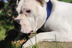 WhatsApp-Bild-2025-08-08-um-09.25.38_3d29ee6e