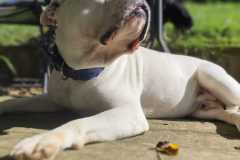 WhatsApp-Bild-2025-08-08-um-09.25.39_4b9bf925