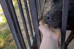 IMG-20250515-WA0012