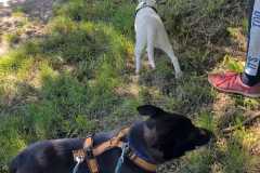 IMG-20250515-WA0013
